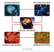 <b>奥博家用脑病治疗仪脑梗后言语障碍居家康复</b>